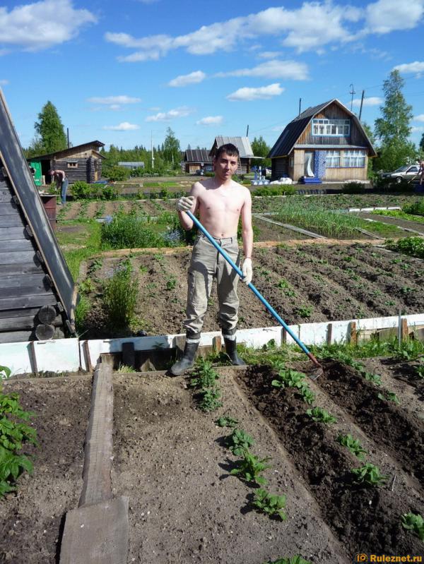 ����� ���� ���������