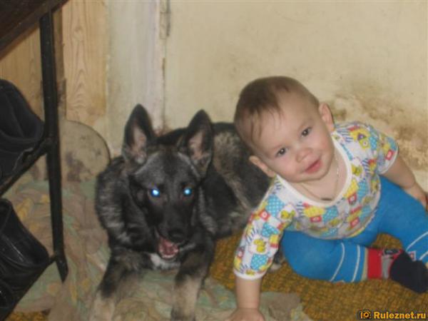 ����� ���� ���������