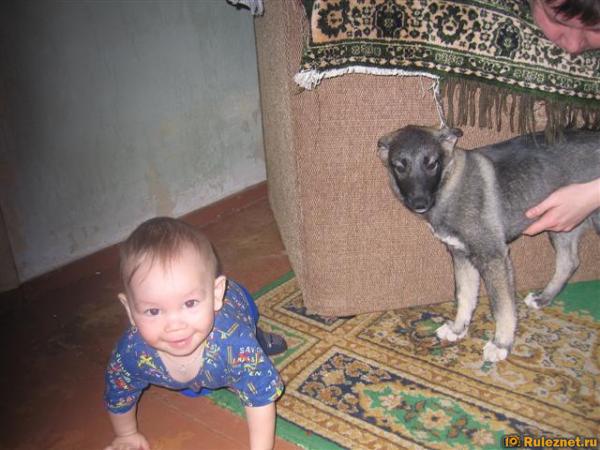 ����� ���� ���������