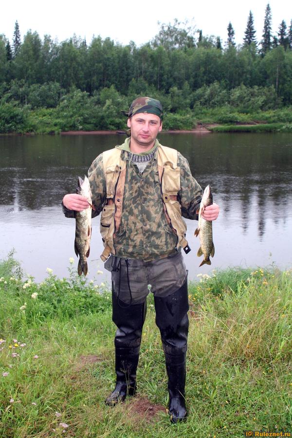 ����� ���� ���������