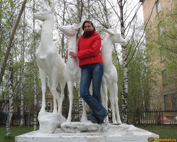 ����� ���� ���������