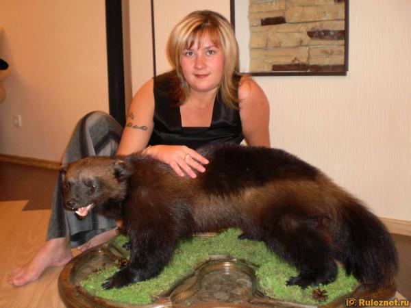 ����� ���� ���������