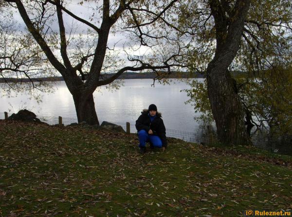 ����� ���� ���������